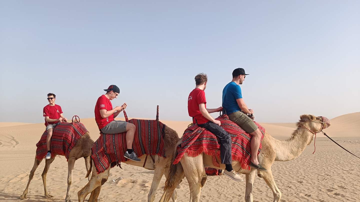 Kelih_Camel_Landscape