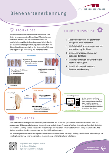 Bienenflügel Segmentierung und Klassifikation